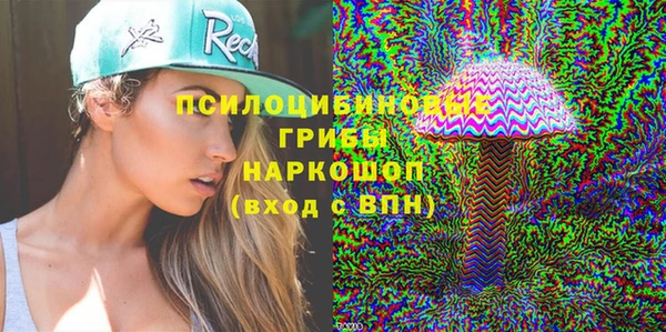 Альфа ПВП Горнозаводск