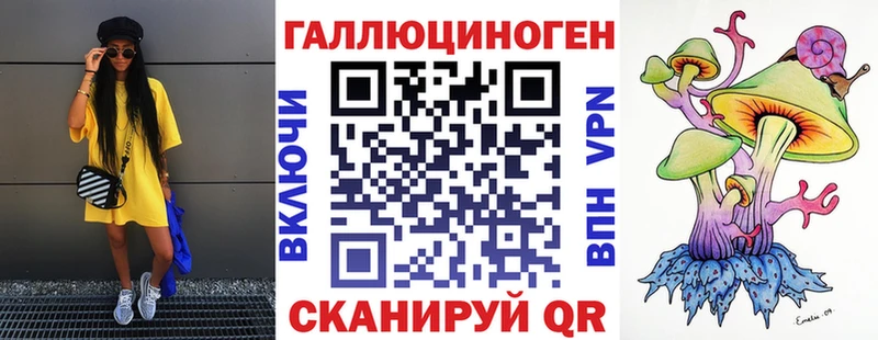 сколько стоит  Мещовск  Псилоцибиновые грибы Psilocybine cubensis 